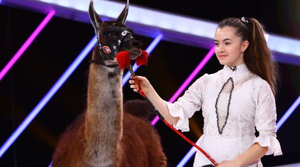 next star o lama animalul de companie al unei concurente
