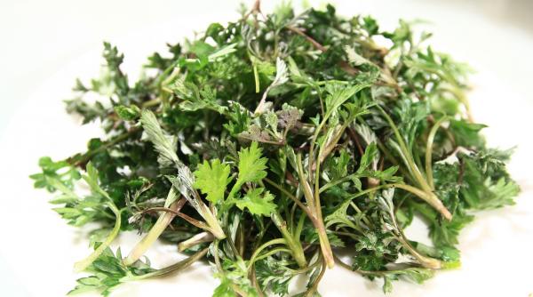 plantele care iti pot dauna grav sanatatii