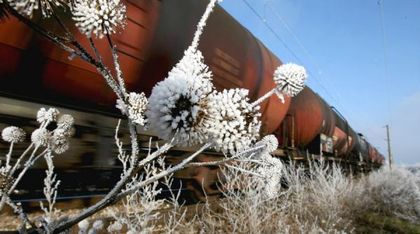 harghita circulatie feroviara blocata intre baile tusnad si tusnad sat un brad a cazut peste firele electrice