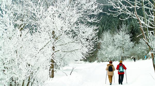 strainii au mai multa incredere in romania decat avem noi