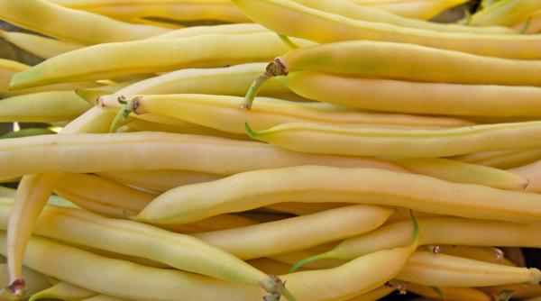 reteta de post fasole galbena cu leurda reteta de post