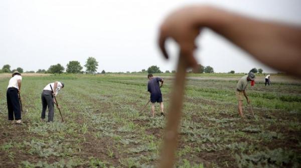 directiile agricole transformate in srl uri