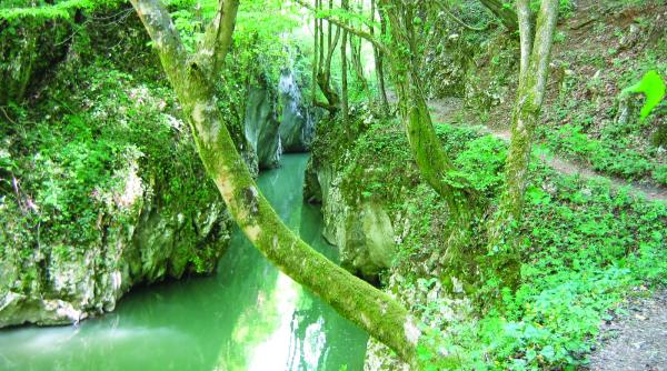 arii protejate ale romaniei parcul national semenic cheile carasului