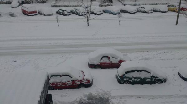 baia mare ingropata sub nameti locuitorii orasului sunt revoltati