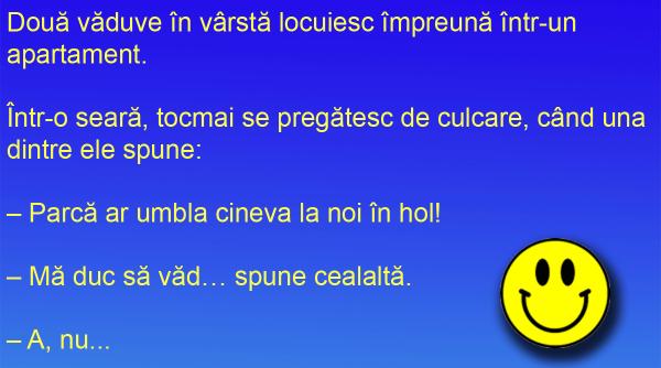 bancul zilei cand esti vaduva si nu prea frumoasa esti curajoasa