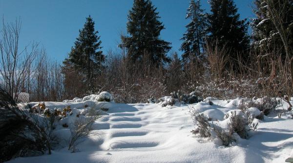 prognoza meteo pentru 5 6 si 7 decembrie 2016