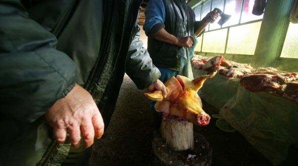 cluj zece cazuri de trichineloza depistate la porci sacrificati in gospodarii