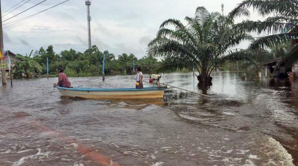 thailanda grave inundatii in plin sezon turistic 14 oameni au murit