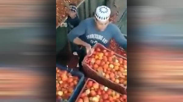 video heinz acuzat ca foloseste rosii stricate pentru fabricarea ketchup ului