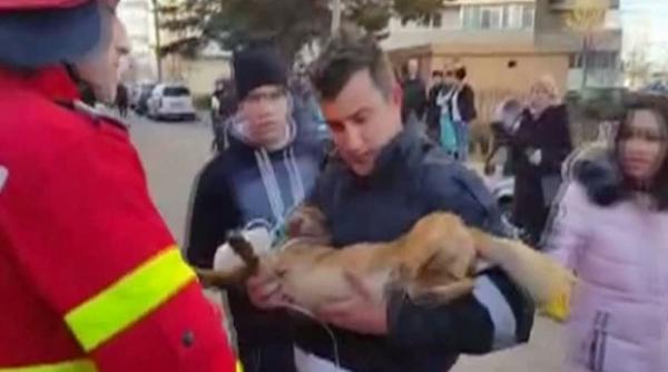 arges barbat ranit grav intr un incendiu un catel scos din flacari a fost resuscitat de un pompier