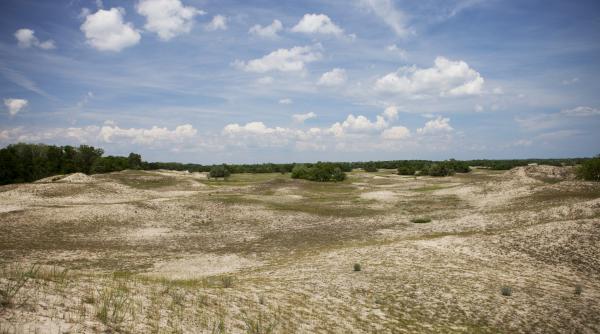 sabotaj national ministerul mediului vrea desert in romania
