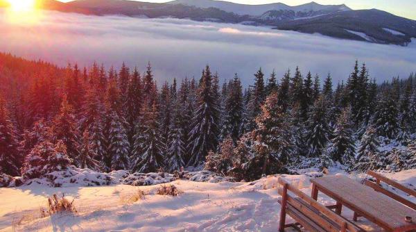 statiunea paltinis a implinit 122 de ani