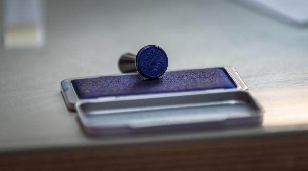 rezultate exit poll curs avangarde psd castiga detasat alegerile parlamentare