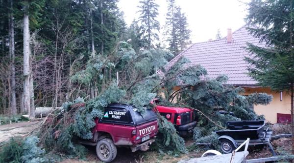 neamt trei masini de interventie ale salvamont au fost distruse de un brad prabusit peste ele