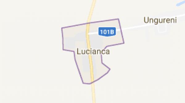 cetateni de origine siriana gasiti de jandarmi intr o padure din judetul dambovita