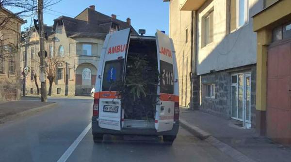 video brad transportat de urgenta cu ambulanta