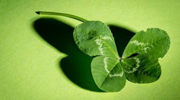 zilele norocoase de sarbatori ce ai putea primi in dar