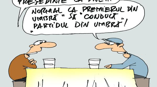 turcan e noua gorghiu predoiu seful pnl din 2017