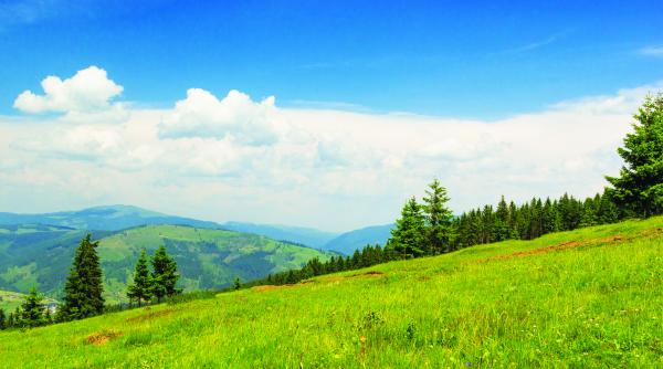 arii protejate ale romaniei parcul national calimani