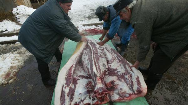 porci prost crescuti pretul pe kilogram sub 5 lei