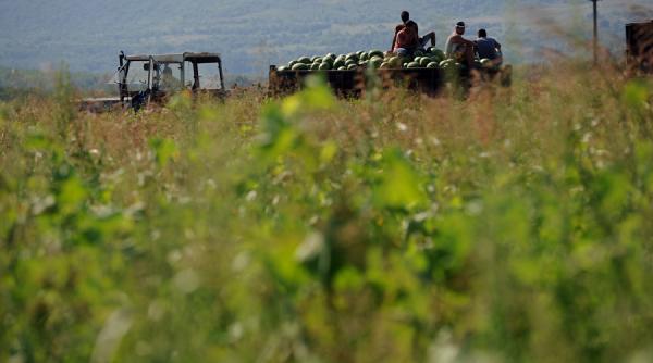 premiera in romania fermierii isi pot asigura culturile pentru toate riscurile climatice