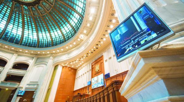 cine sunt vedetele care n au prins loc in parlament