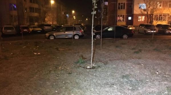 constanta scene crancene intr un parculet unde un bebelus a fost sfasiat de caini