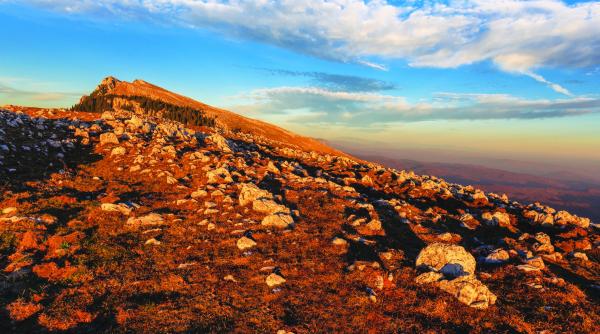 arii protejate ale romaniei parcul national buila vanturarita