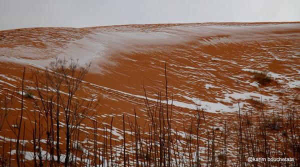 imagini uimitoare a nins in sahara