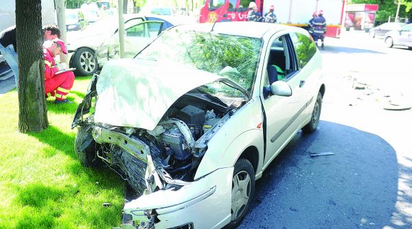 reguli la daunele pentru victimele strazii