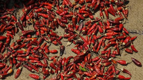 remedii naturiste pentru boli reumatice