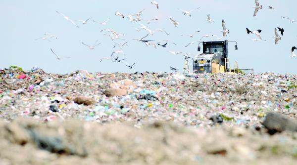 ingropati in gunoaie si dezinteres dar darnici cu subventiile