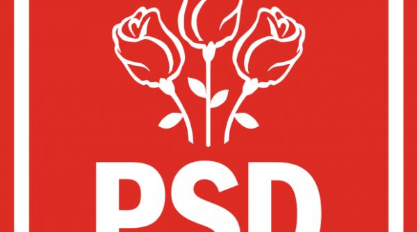 prima reactie a psd dupa ce sevil shhaideh a fost respinsa de iohannis
