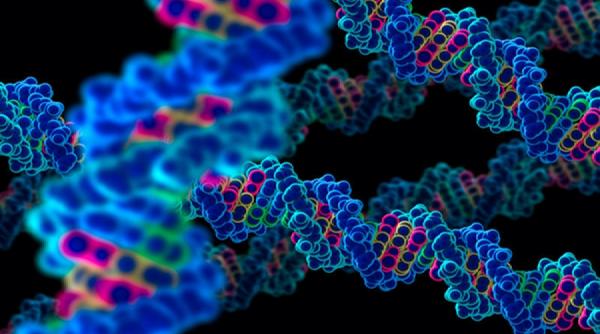 ce mostenim genetic si ce dobandim pe parcursul vietii