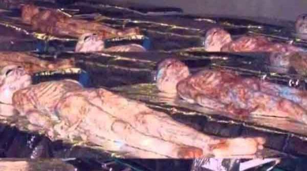 video adevarul despre extraterestri ascuns de nasa timp de 7 decenii