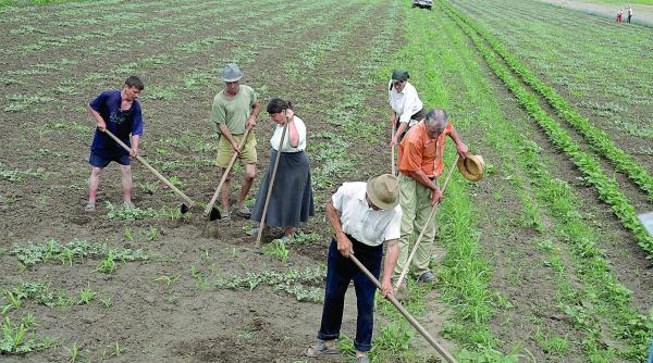 agricultura creste dar ramane una de subzistenta