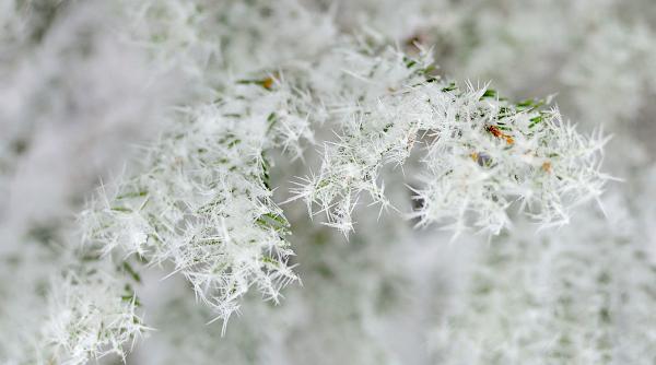 fenomen meteorologic rar intalnit la constanta