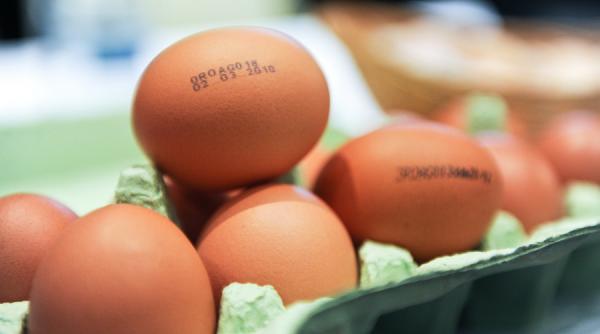 vaslui alerta ansvsa oua provenite din polonia infestate cu salmonella