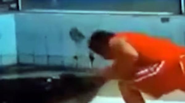 video un dresor a scapat miraculos din falcile unui crocodil