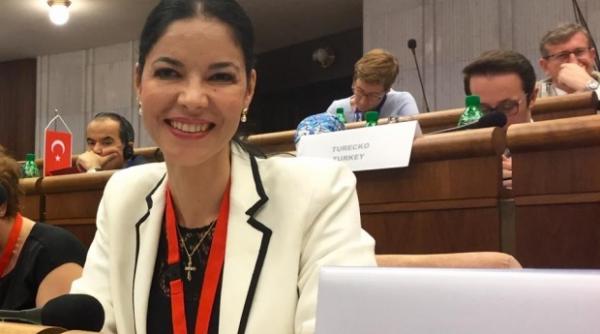 cine este ana birchall propusa ministru delegat pentru afaceri europene