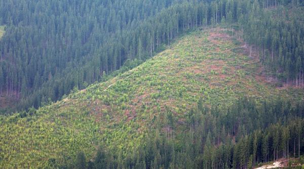 arii protejate ale romaniei parcul national defileul jiului