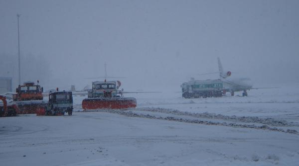 tarom ryanair wizz air si lot au anulat mai multe curse