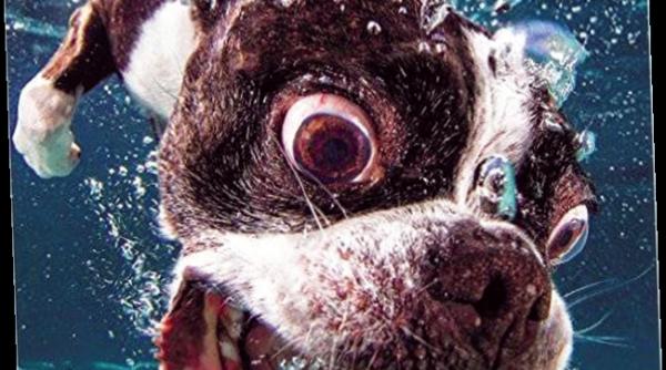 cele mai ciudate calendare pe 2017