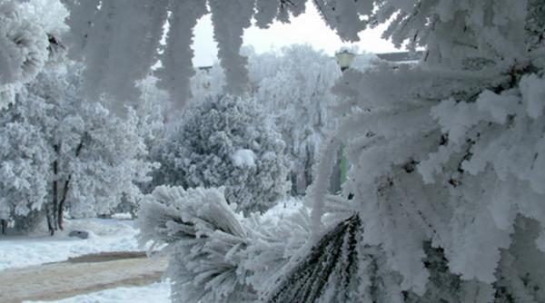 noaptea de luni spre marti cea mai geroasa din aceasta iarna la bucuresti vor fi 23 de grade