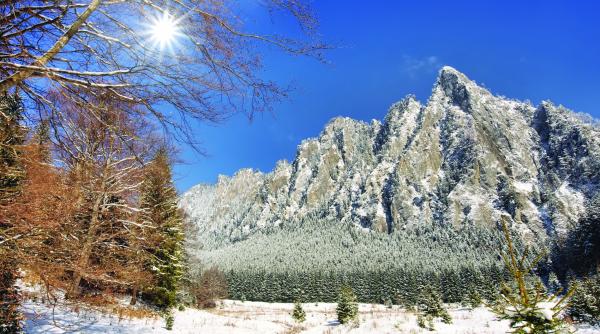 arii protejate ale romaniei parcul national ceahlau