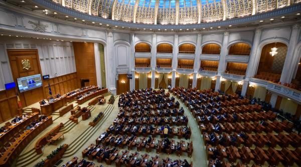 meseria bratara de parlamentar