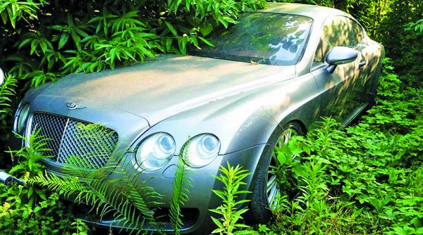 ce se intampla cu timbrul de mediu