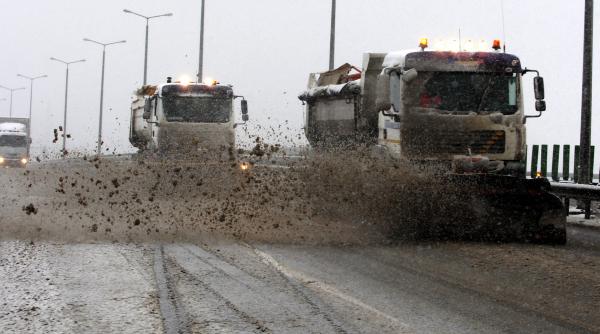 pe cine a deszapezit guvernul ciolos in ultimele zile de mandat