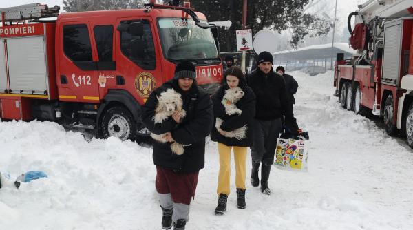 val de indignare dupa incendiul de la azilul circului