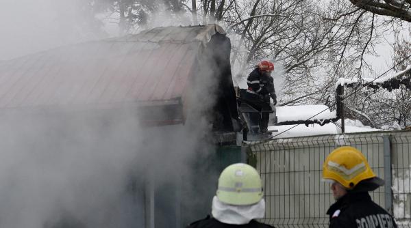 plangere penala dupa moartea animalelor de la circ